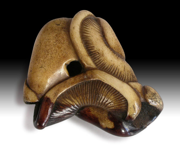 19th Century Mushroom Antler Netsuke  Antique Japanese Hand Carved Stag Horn 根付